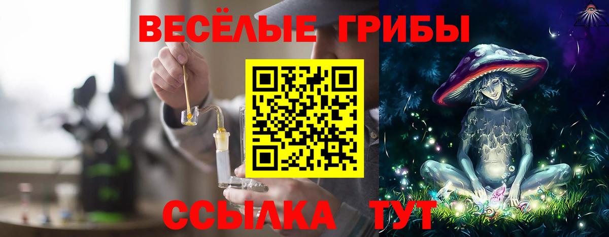 Псилоцибиновые грибы MAGIC MUSHROOMS Среднеуральск