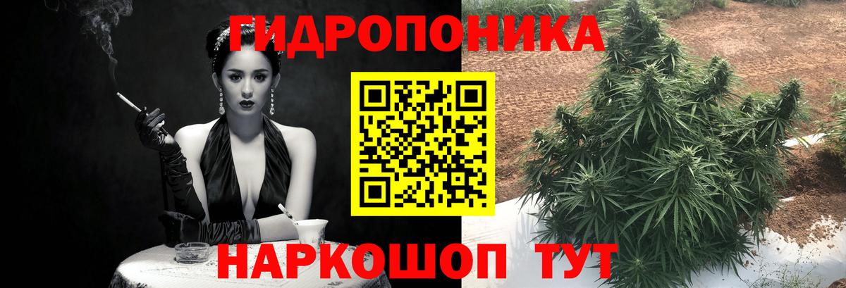 Бошки Шишки план Среднеуральск